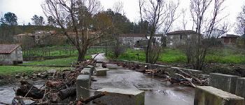 Puentes al abismo